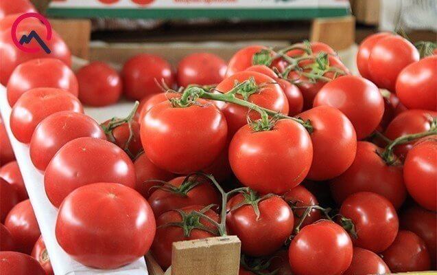 Azərbaycan pomidordan bir ildə 201 milyon dollar qazandı