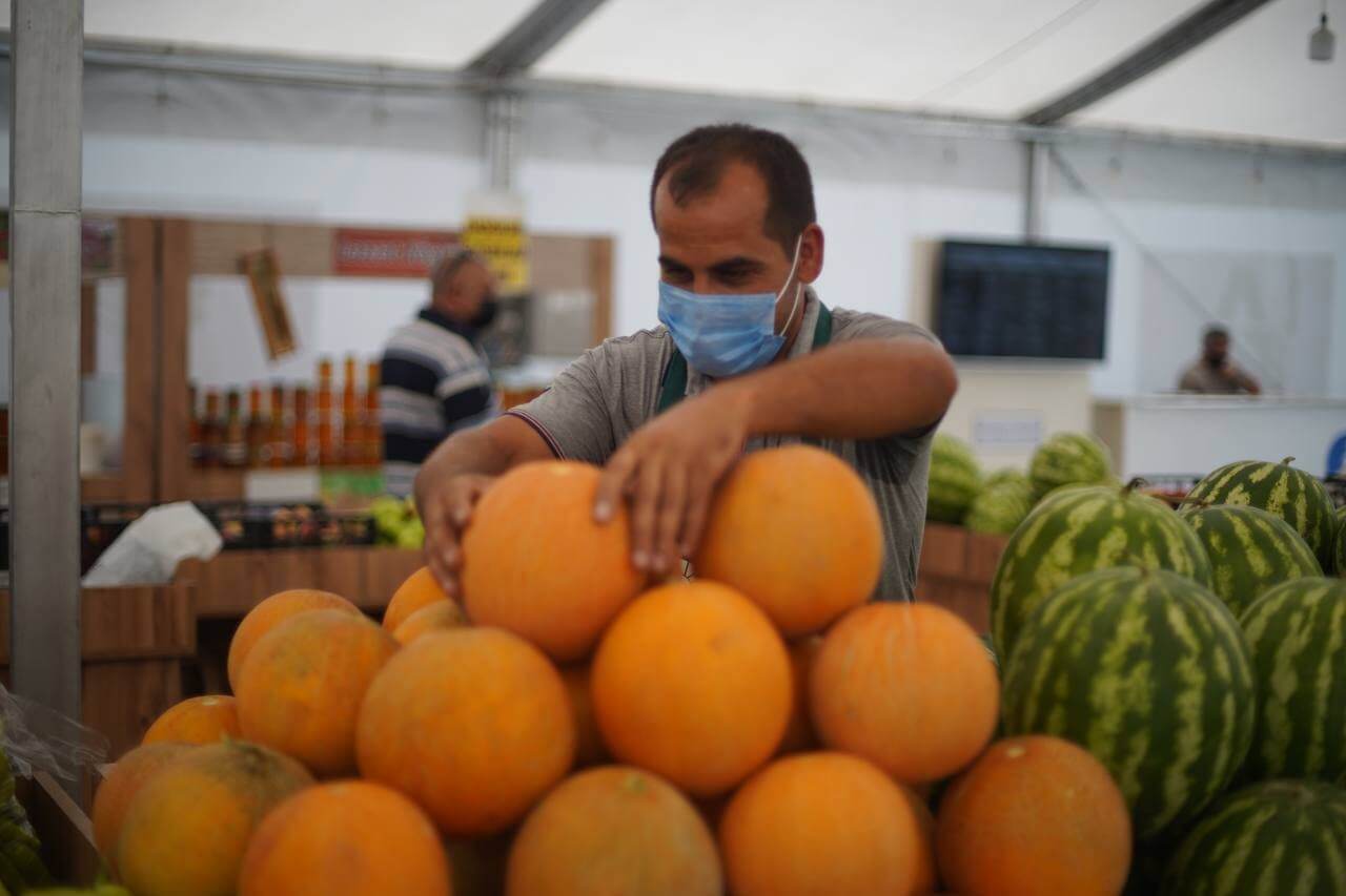 Şənbə və bazar “Kənddən Şəhərə” yarmarkaları təşkil olunacaq – ÜNVANLAR