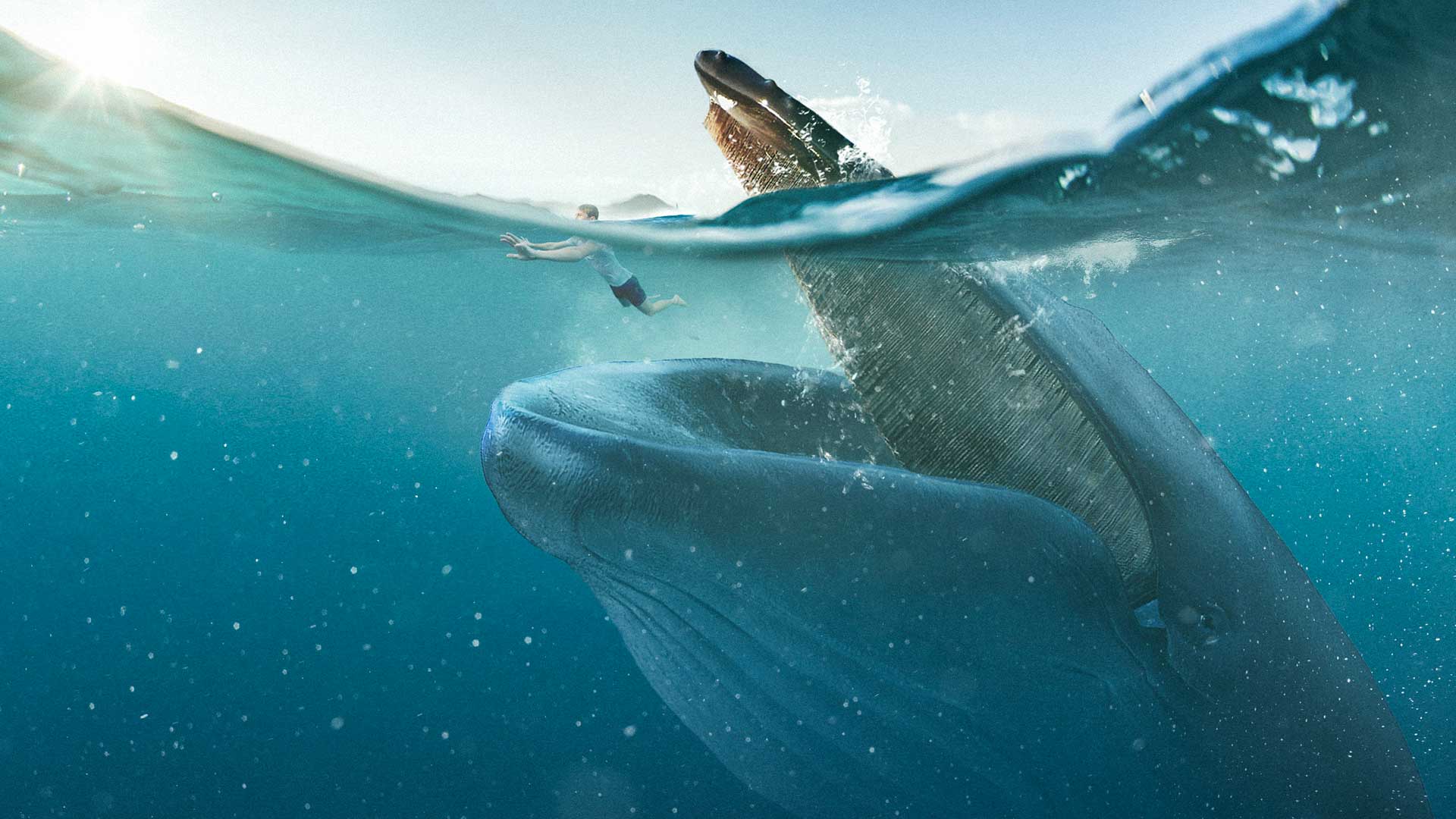 Balinalar onlarla insanı mədələrinə sığdıra bilsələr də, niyə insanı uda bilmirlər?