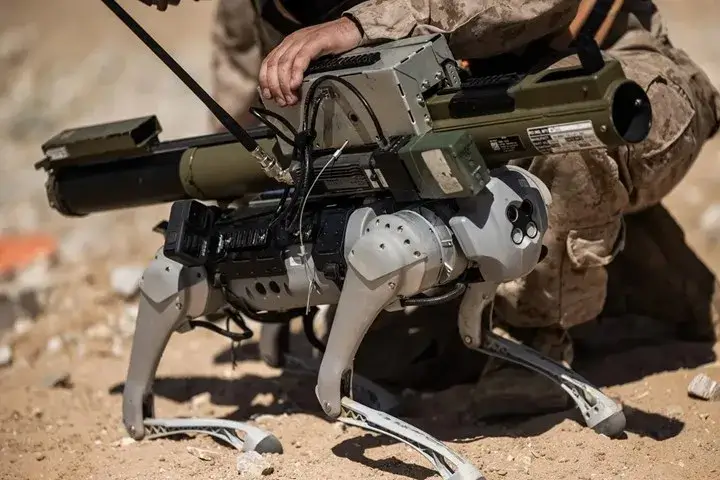 ABŞ Hərbi Dəniz Qüvvələri süni intellektli və silahlı robot itləri sınaqdan keçirir